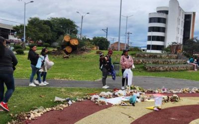 Cuenca Confronts Tree Collapse Crisis After Deadly Tragedy