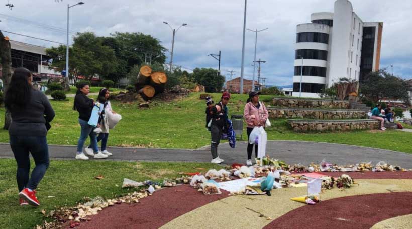 Cuenca Confronts Tree Collapse Crisis After Deadly Tragedy