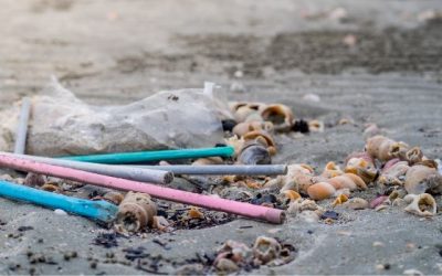 Ecuador Moves to Ban Single-Use Plastic Straws Amid Environmental Push