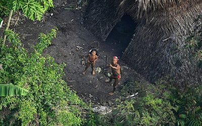 Government Ordered to Expand Protections for Uncontacted Indigenous Peoples