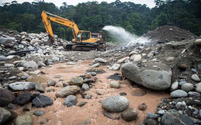 Amazon Gold War Fuels Bloodshed and Forest Loss