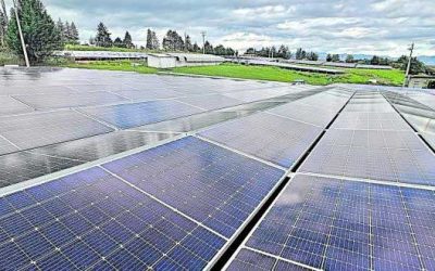 Ecuador Moves to Expand Solar Power as Hydroelectric Limitations Trigger Energy Crisis