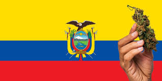 Ecuador debates cannabis reform as Assembly reviews citizens’ legalization proposal