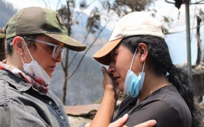 Pinto’s expanding role turns Vice Presidency into command post for Ecuador’s health emergency