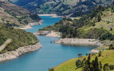 Why the Lights Are On (For Now)