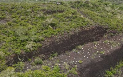 Assembly reform redraws rules for construction material extraction in Galápagos