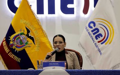 CNE chief pushes back on criticism over earlier local vote