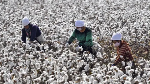 Ecuador faces possible new U.S. tariff over forced labor enforcement