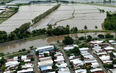Ecuador prepares for heavy farm losses as El Niño threat builds