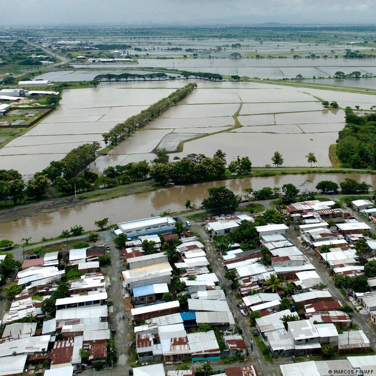 Ecuador prepares for heavy farm losses as El Niño threat builds.jpg