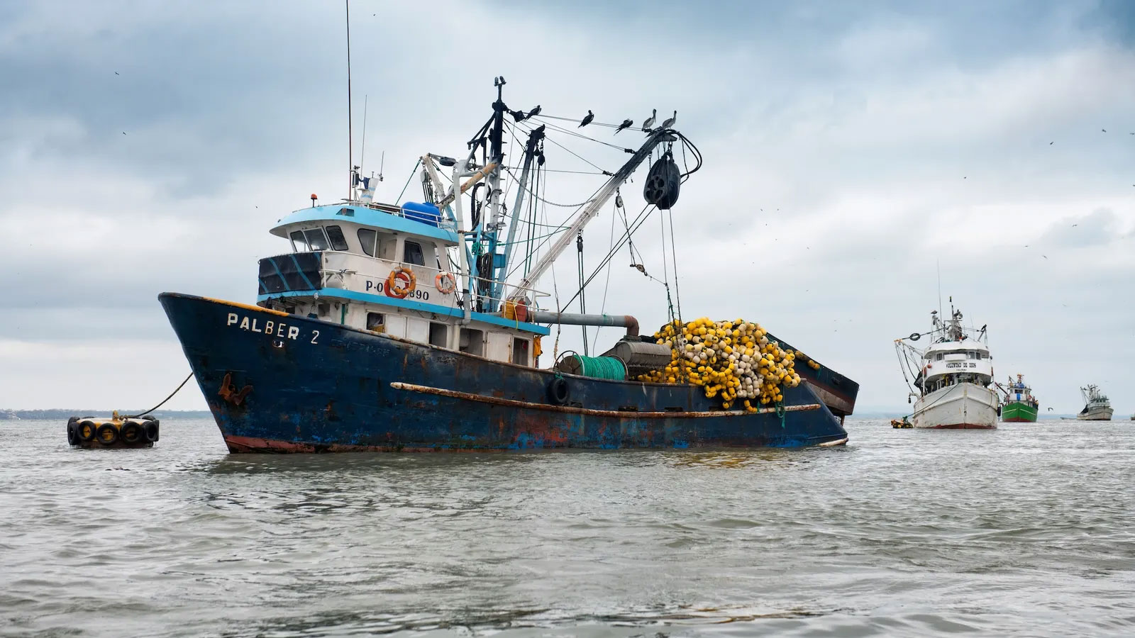 El Niño is already changing what Ecuador catches — and what consumers pay