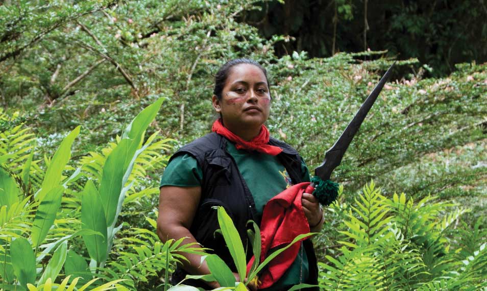 Amazon Indigenous Community Seeks Protection After Threats Over Illegal Mining